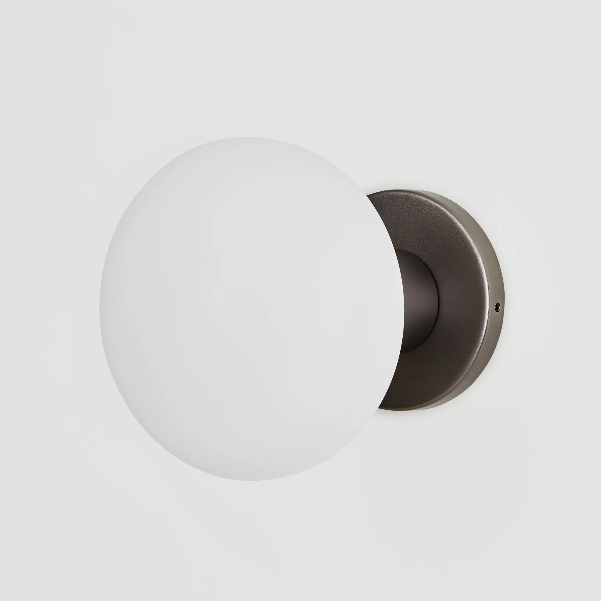 Lochan Wall Light in Graphite + Oval - Image 4