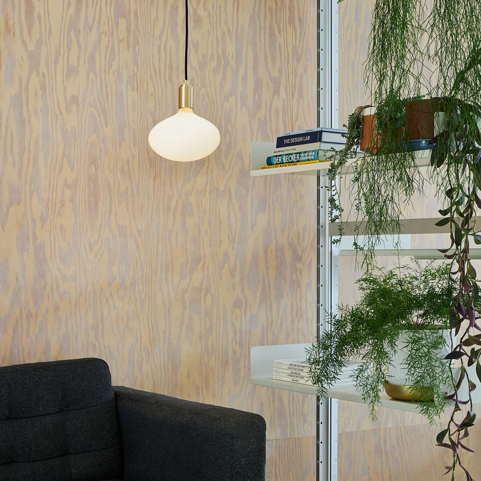 Oval II E26 LED Bulb - Image 3