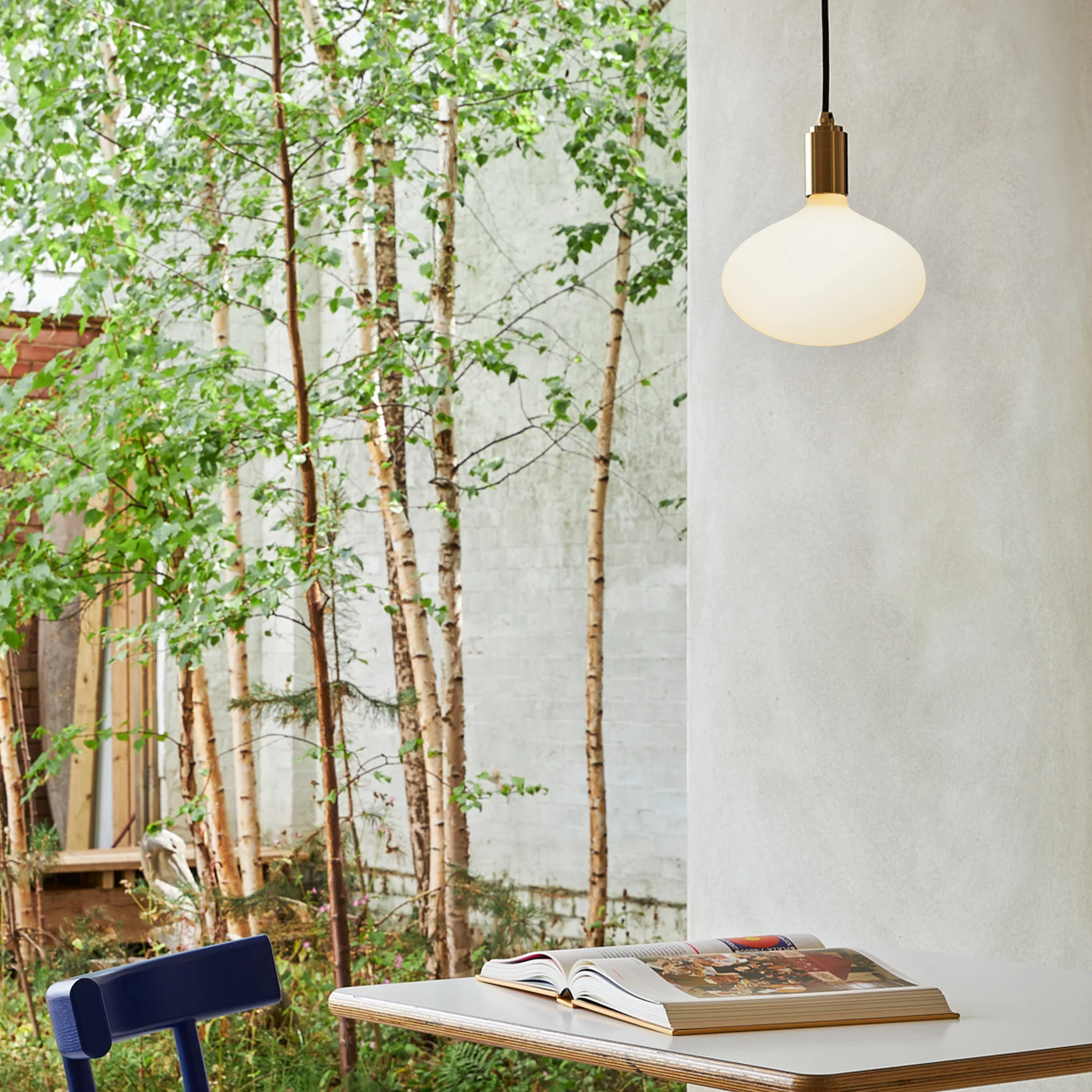 Oval II E26 LED Bulb - Image 7